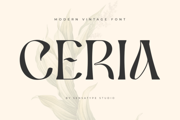 Ceria: Crafting Contemporary Elegance in Every Letterform