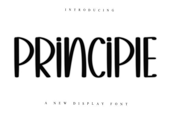 Principle: Where Elegance Meets Everyday Creativity